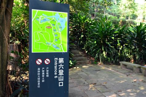 深圳麒麟花園風情盤點：探訪城市中的綠色樂園